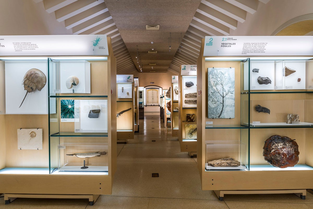 Display cases at the MUNA Museum, Tenerife Display cases at the MUNA Museum, Tenerife