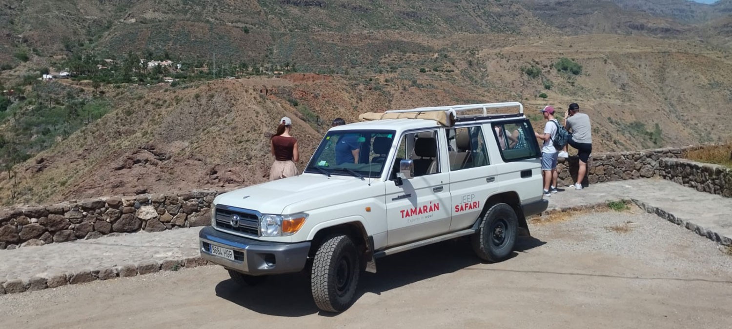 Tamarán-klanten genieten van het landschap vanaf de Mirador de la Degollada de las Yeguas naast de jeepsafari.