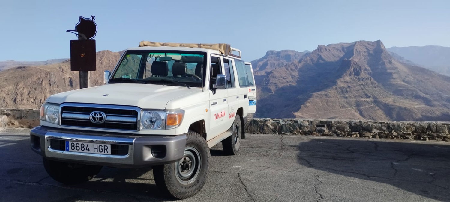 Tamarán-jeep geparkeerd voor de Mirador de la Degollada de las Yeguas, op Gran Canaria.
