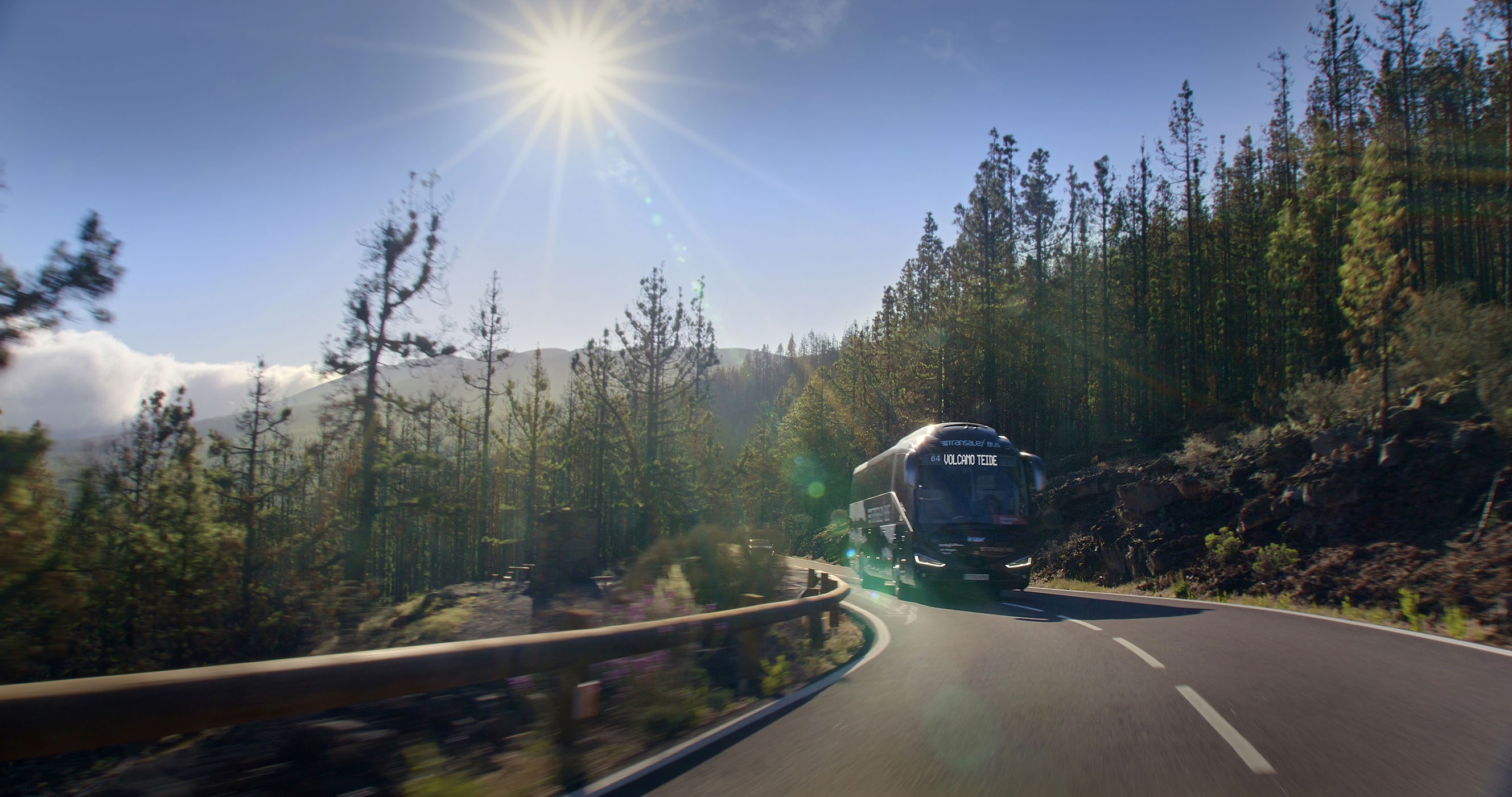 Llegando al Parque Nacional del Teide en el transporte privado del Teide Tour VIP Llegando al Parque Nacional del Teide en el transporte privado del Teide Tour VIP