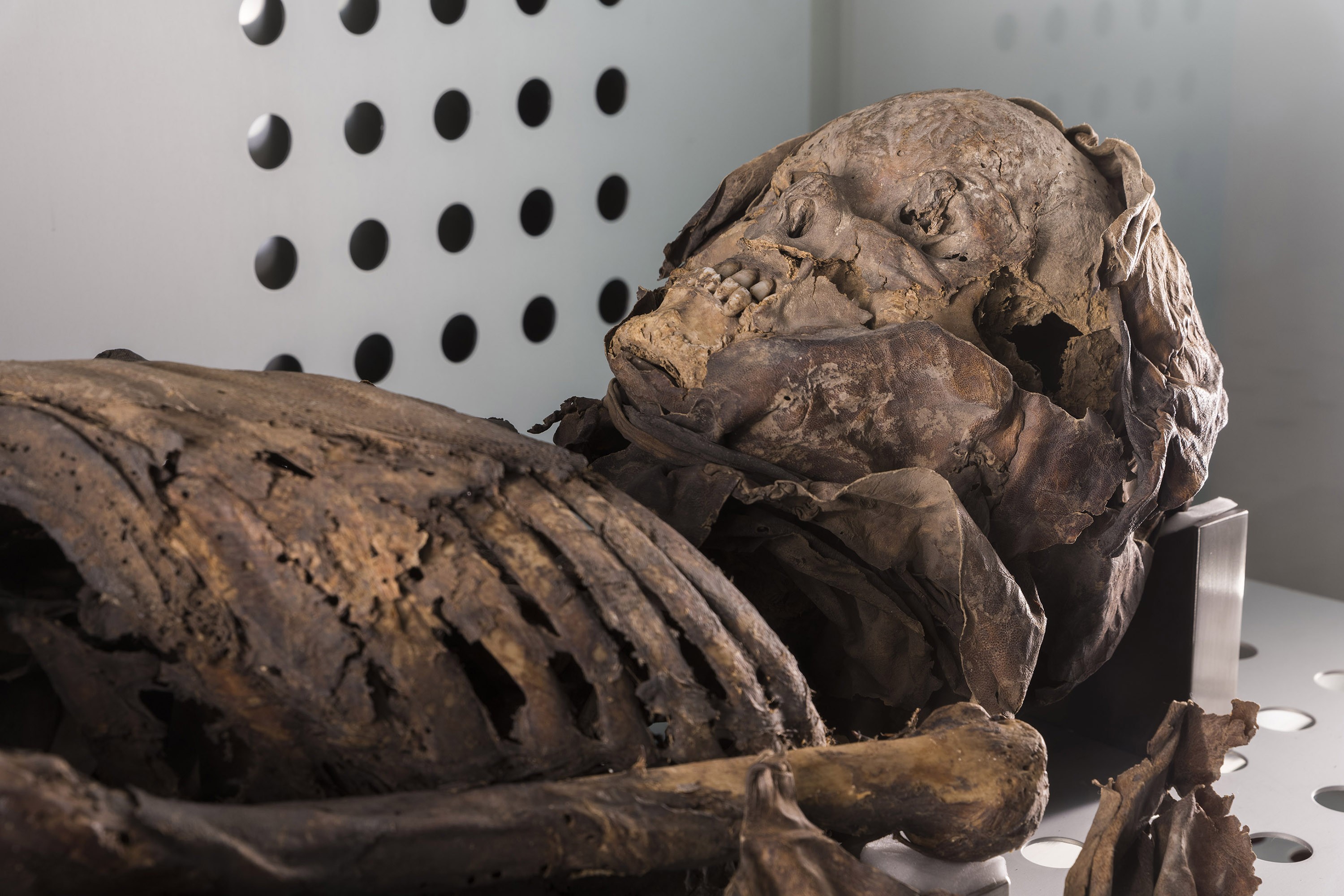 Die Guanchenmumien im MUNA sind Teil des Kulturerbes von Teneriffa