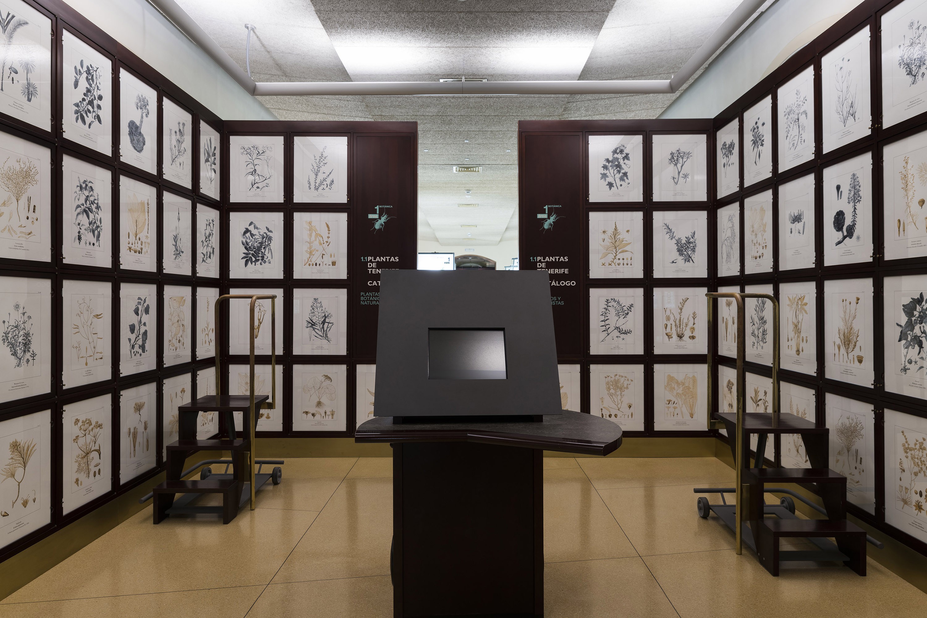 Tenerife’s Science and Culture brought together at the MUNA Museum Tenerife’s Science and Culture brought together at the MUNA Museum