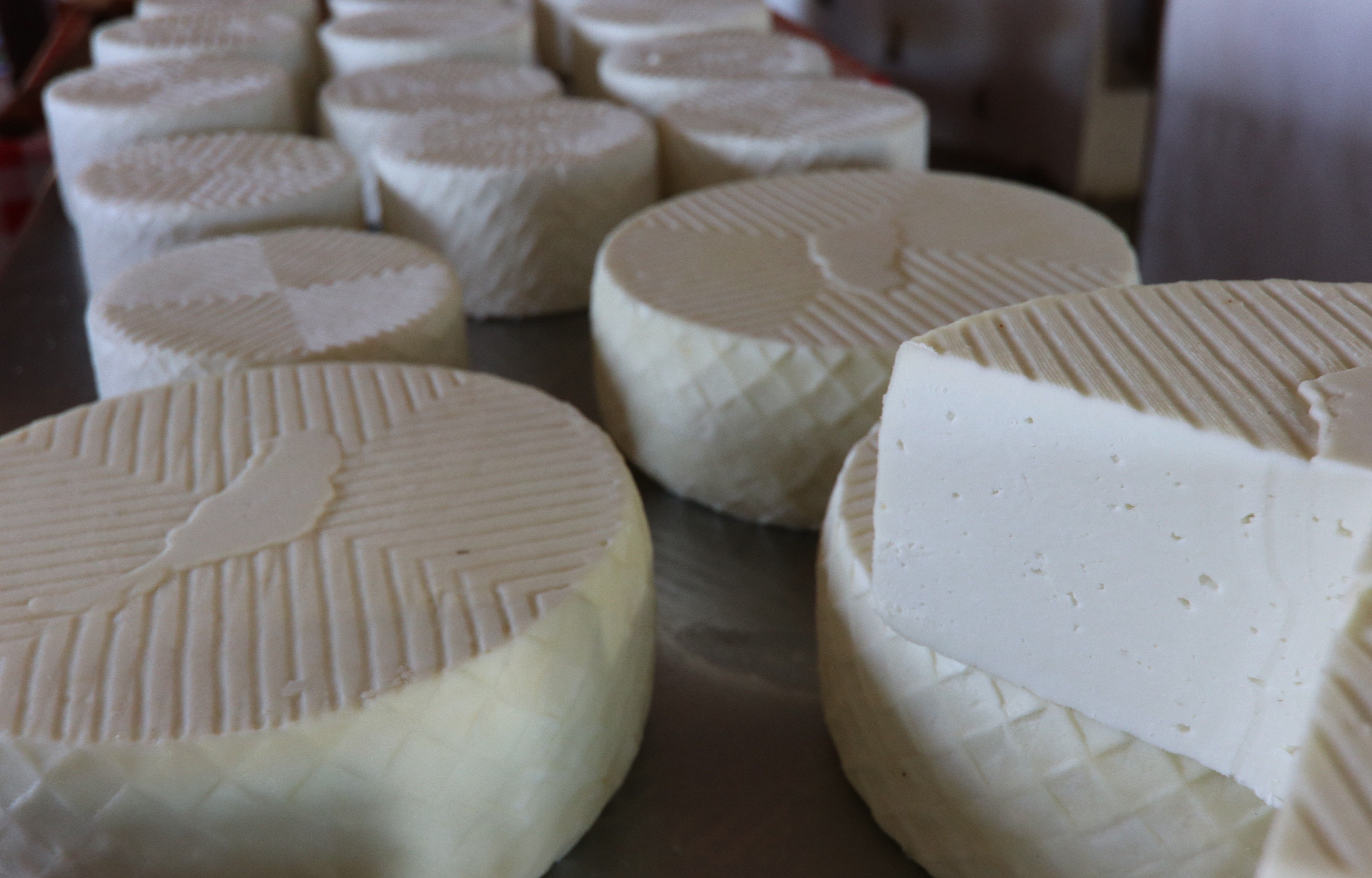 Visite du musée du fromage Majorero lors du circuit à Fuerteventura.