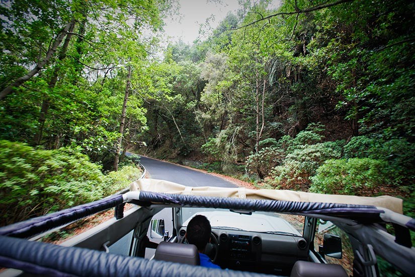 Route door het bos van La Gomera op een Jeepsafari