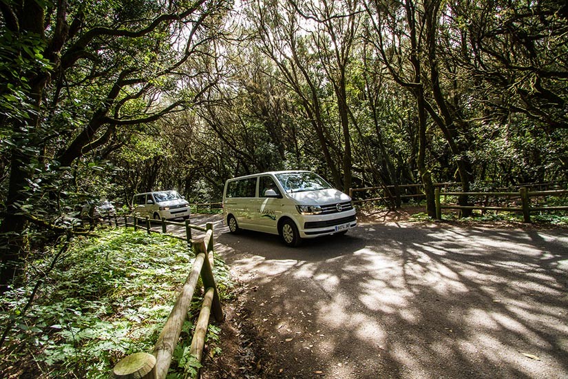 Excursión VIP Tour por el monte de Gran Canaria en monovolumen