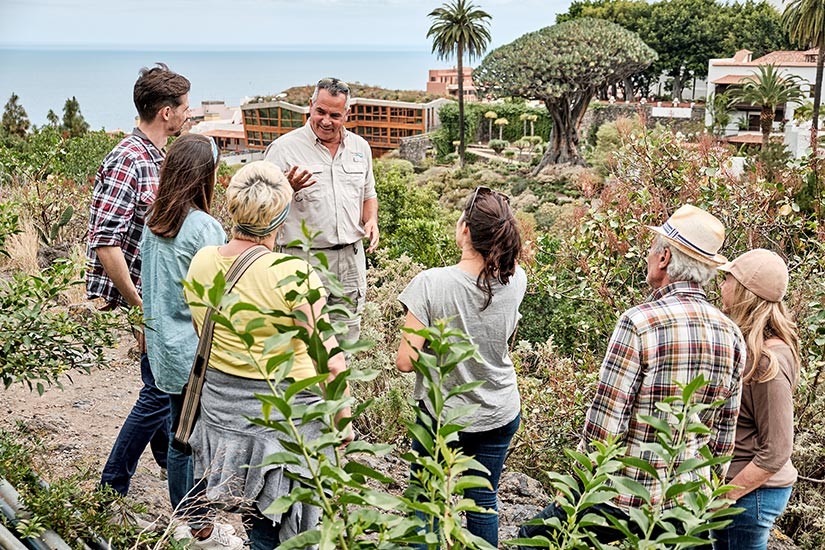 Visita guiada durante la excursión a la isla de Tenerife en VIP Tour en privado Visita guiada durante la excursión a la isla de Tenerife en VIP Tour en privado